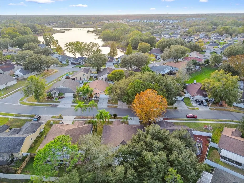 2342 Tioga Drive Land O Lakes FL 34639