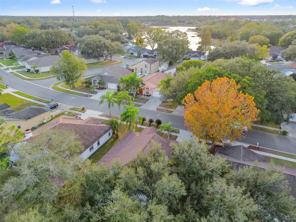 2342 Tioga Drive Land O Lakes FL 34639