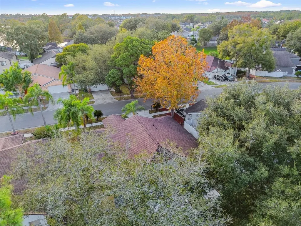 2342 Tioga Drive Land O Lakes FL 34639