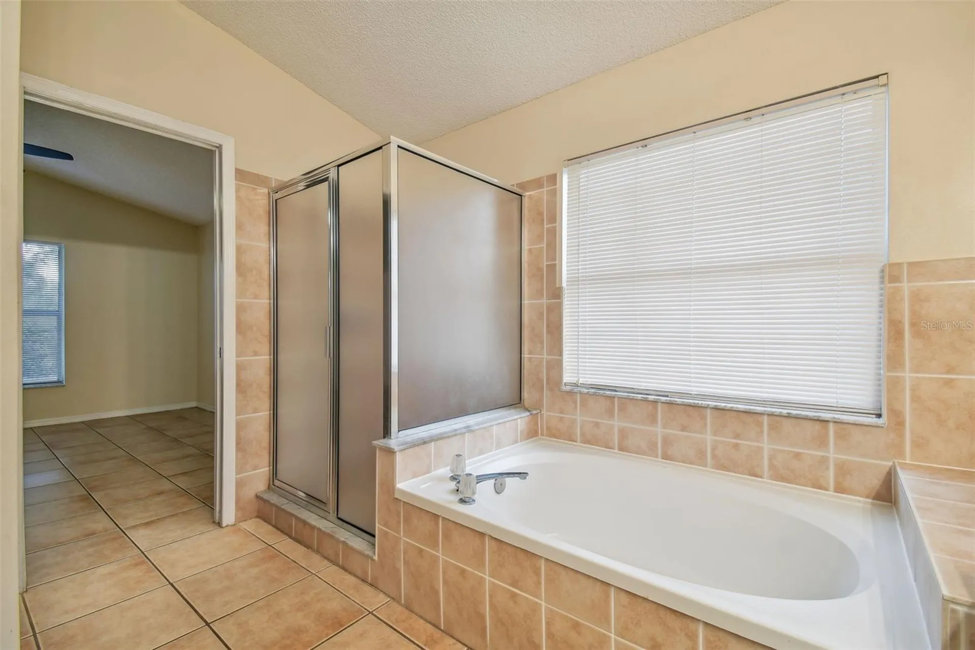 2342 Tioga Drive Land O Lakes FL 34639