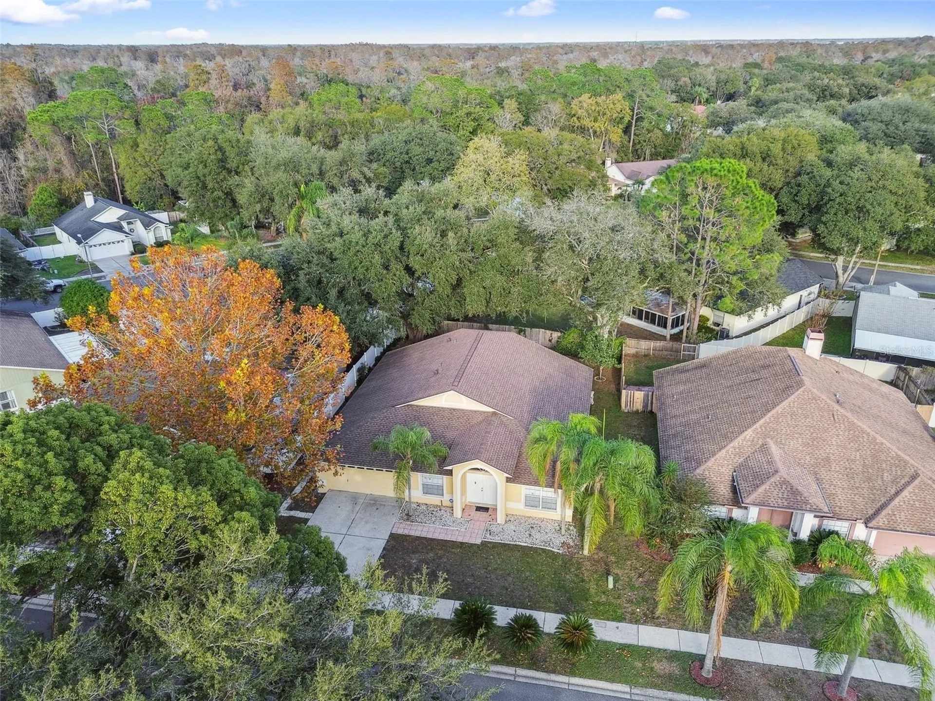 2342 Tioga Drive Land O Lakes FL 34639
