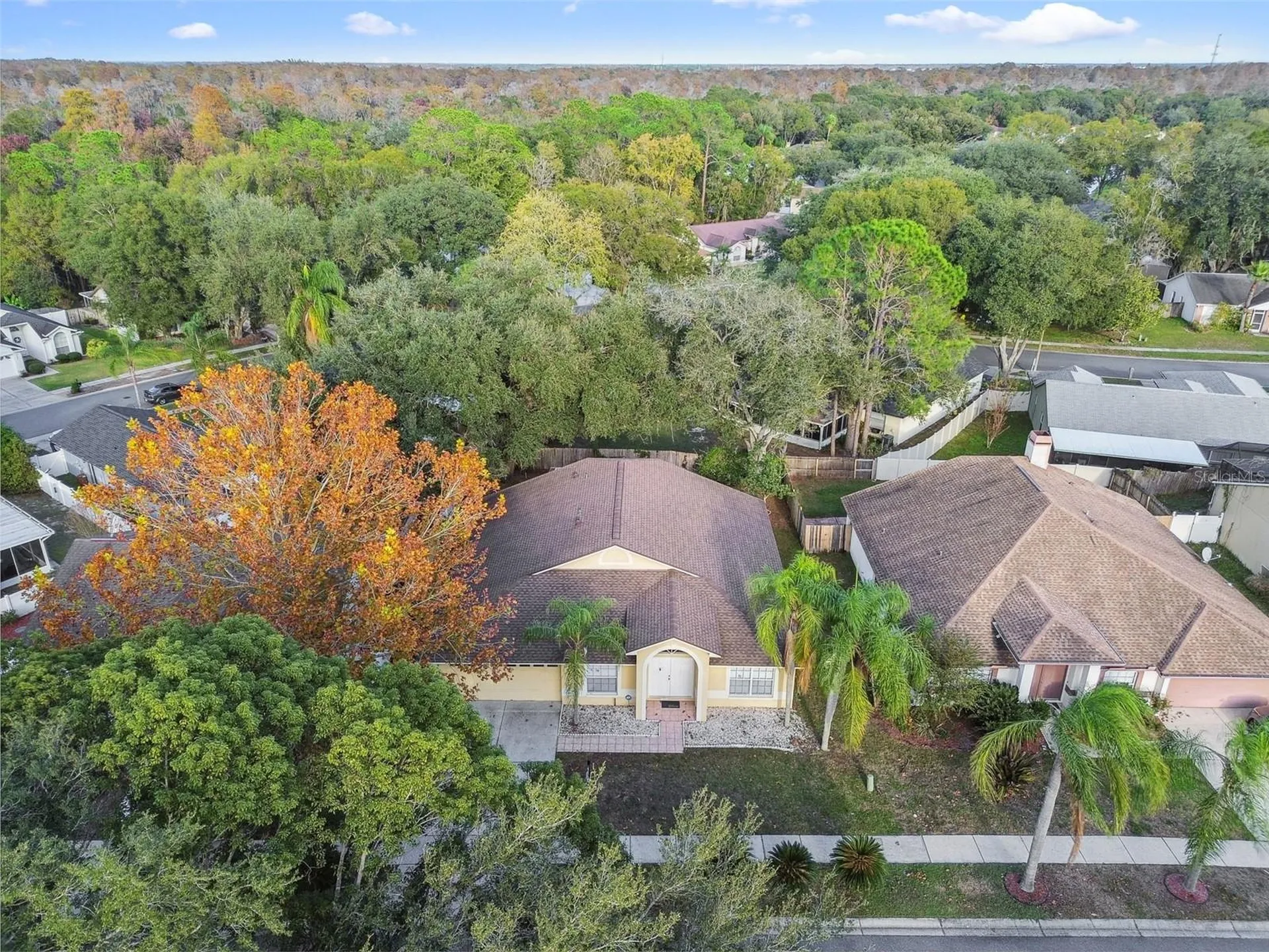 2342 Tioga Drive Land O Lakes FL 34639
