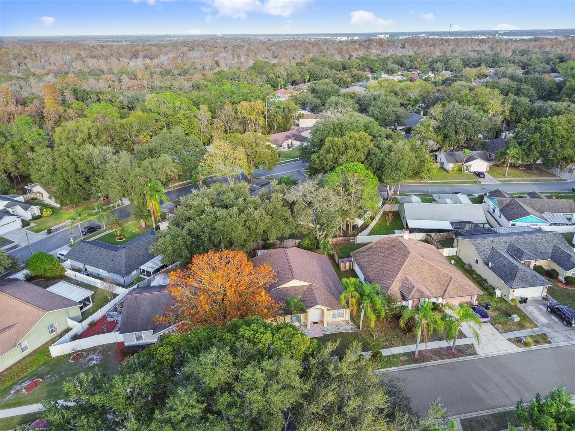 2342 Tioga Drive Land O Lakes FL 34639