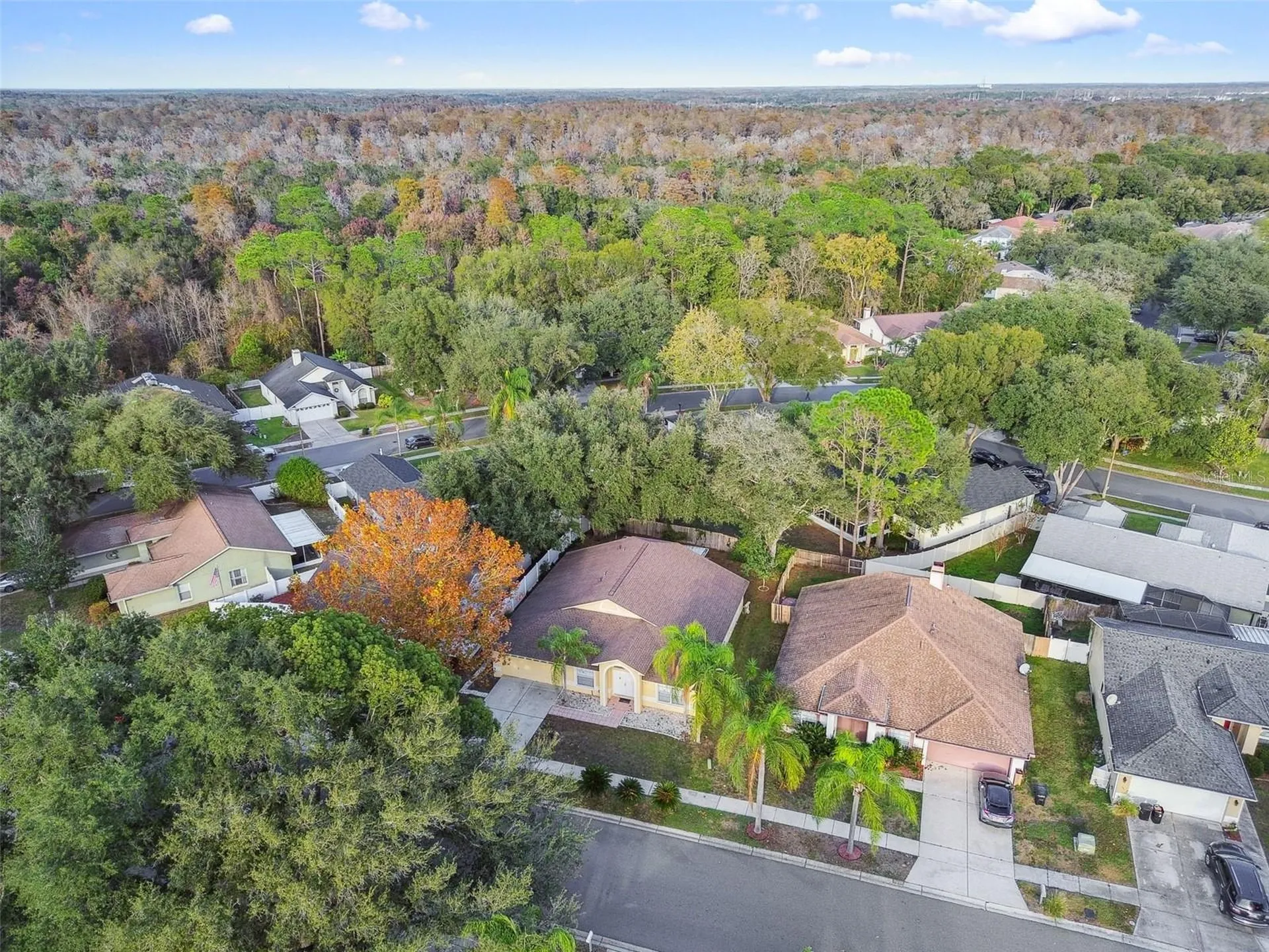 2342 Tioga Drive Land O Lakes FL 34639