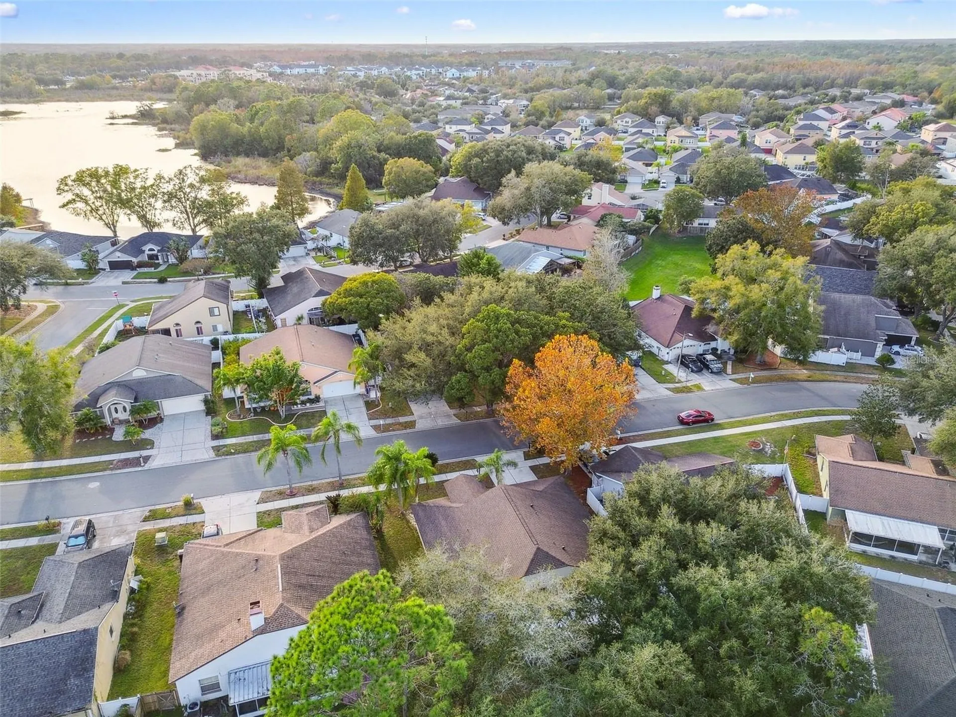 2342 Tioga Drive Land O Lakes FL 34639