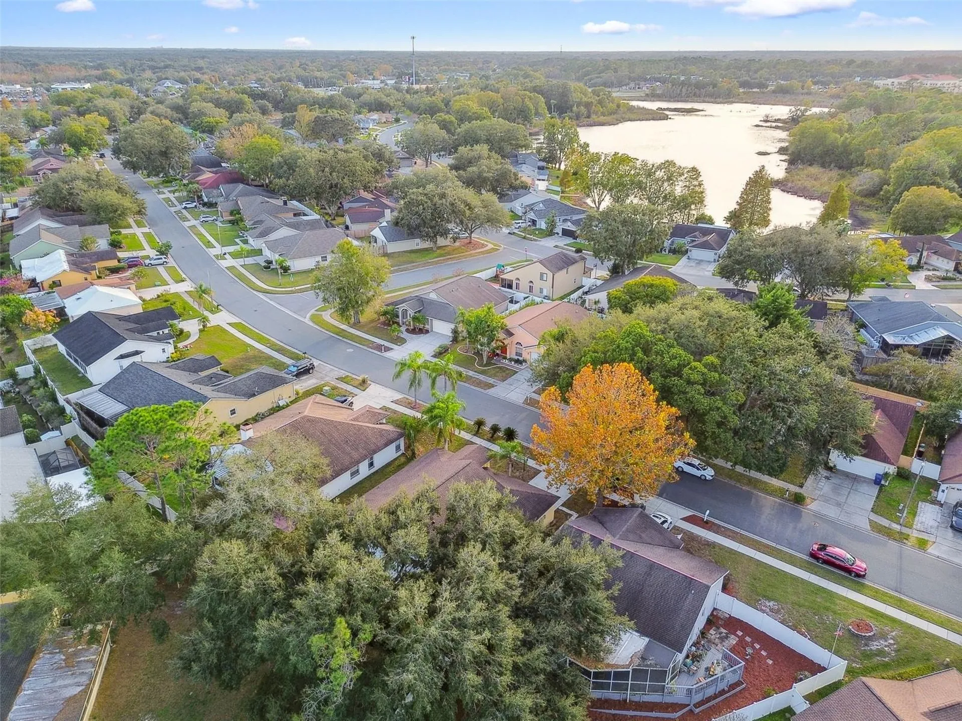 2342 Tioga Drive Land O Lakes FL 34639
