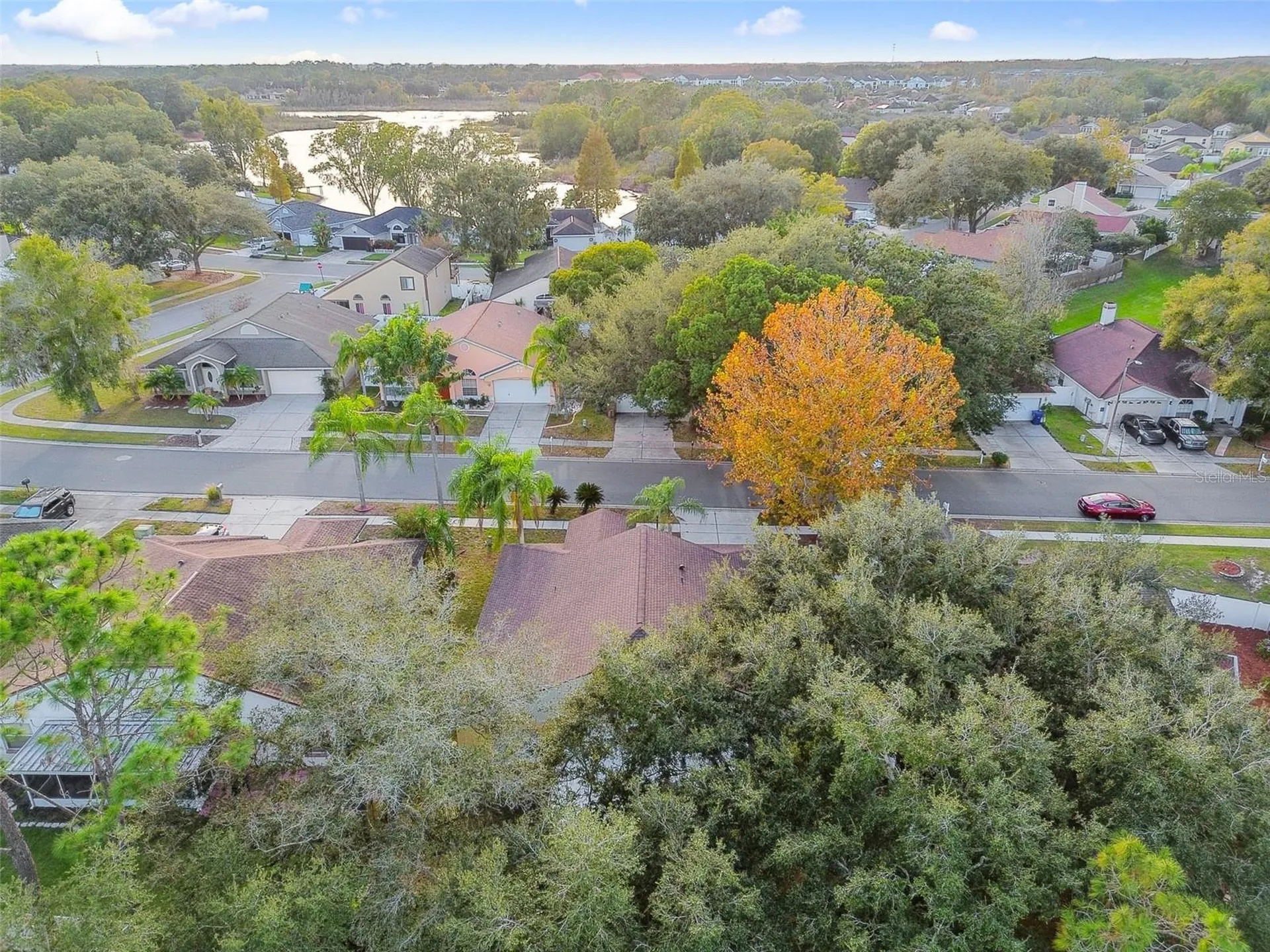 2342 Tioga Drive Land O Lakes FL 34639