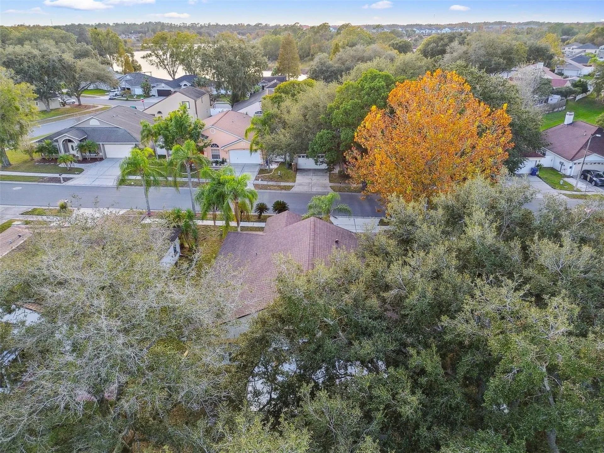 2342 Tioga Drive Land O Lakes FL 34639