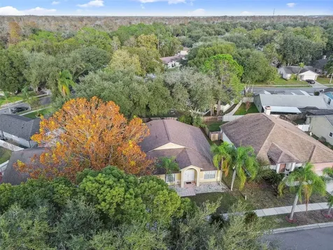 2342 Tioga Drive Land O Lakes FL 34639