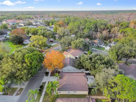 2342 Tioga Drive Land O Lakes FL 34639