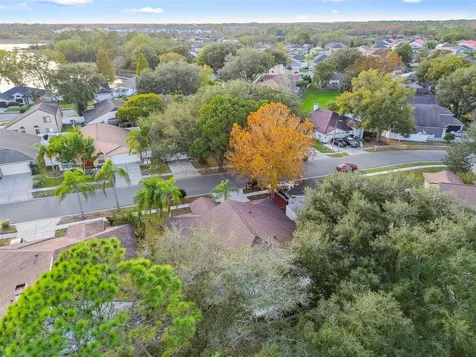 2342 Tioga Drive Land O Lakes FL 34639