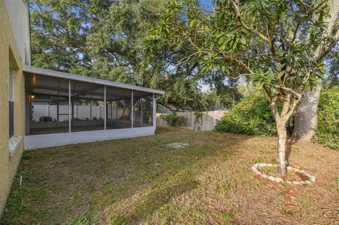2342 Tioga Drive Land O Lakes FL 34639