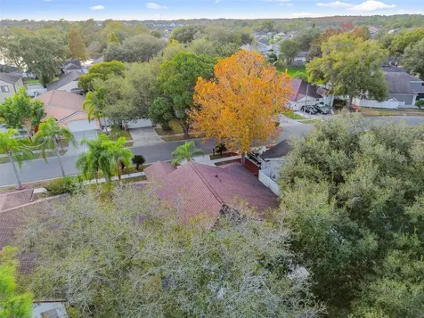 2342 Tioga Drive Land O Lakes FL 34639