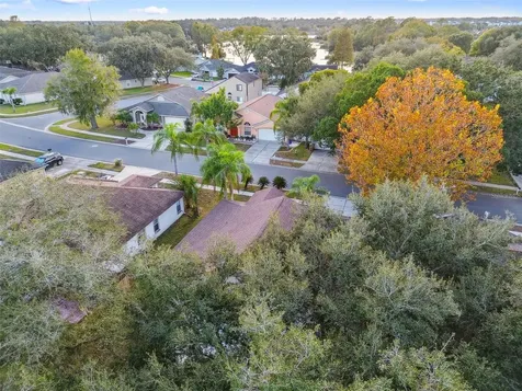 2342 Tioga Drive Land O Lakes FL 34639