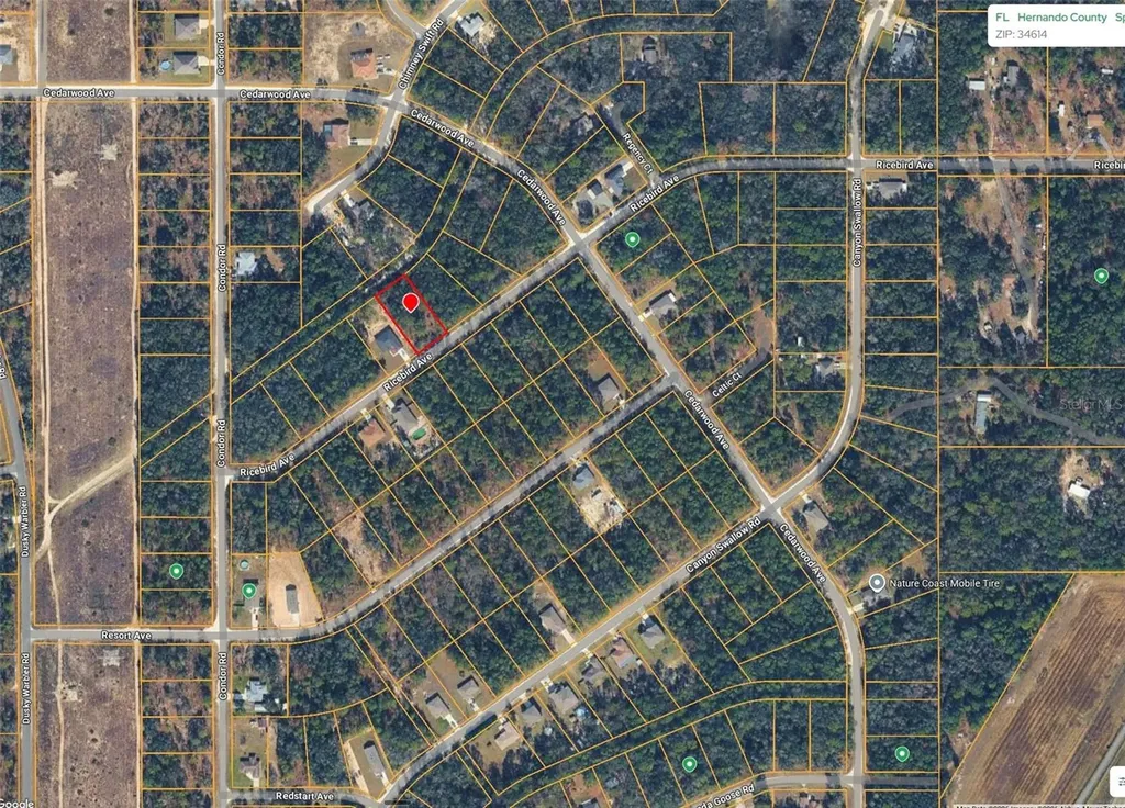 14041 Ricebird Avenue Weeki Wachee FL 34614