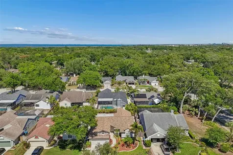 1977 Brookstone Way Clearwater FL 33760