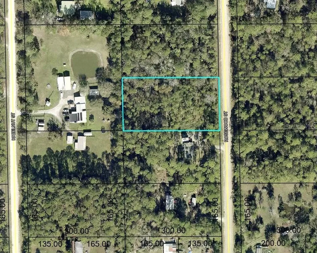 1352 Rosewood Street Bunnell FL 32110