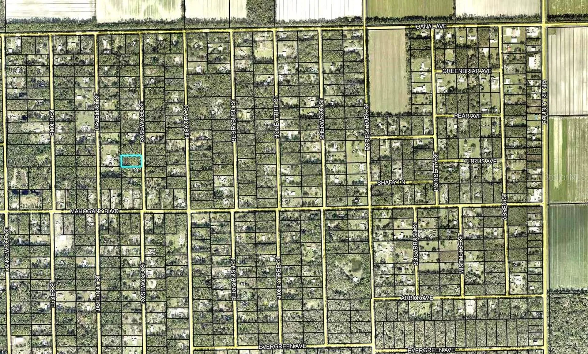 1352 Rosewood Street Bunnell FL 32110