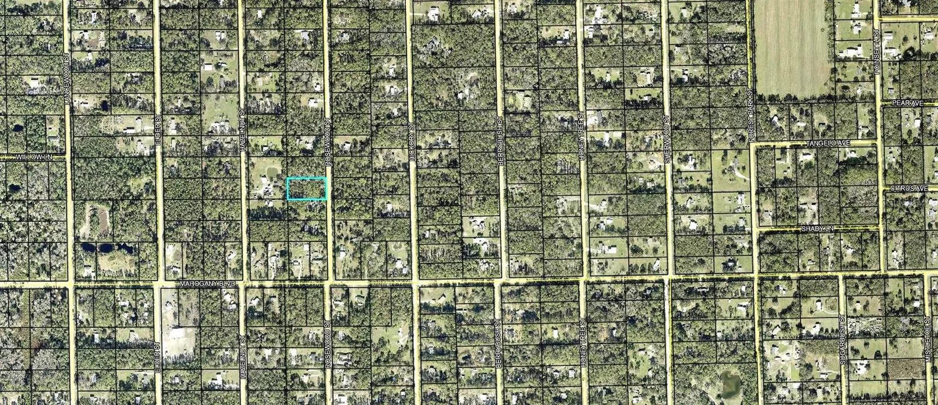1352 Rosewood Street Bunnell FL 32110