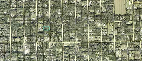 1352 Rosewood Street Bunnell FL 32110