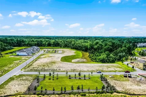 17422 Honeybell Tangelo Court Winter Garden FL 34787