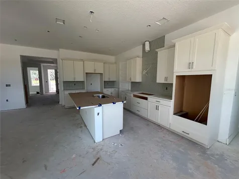 17422 Honeybell Tangelo Court Winter Garden FL 34787