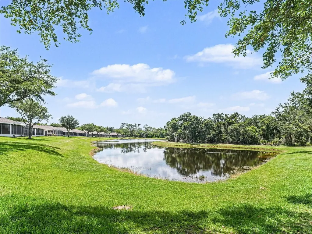 5919 Phoebenest Drive Lithia FL 33547