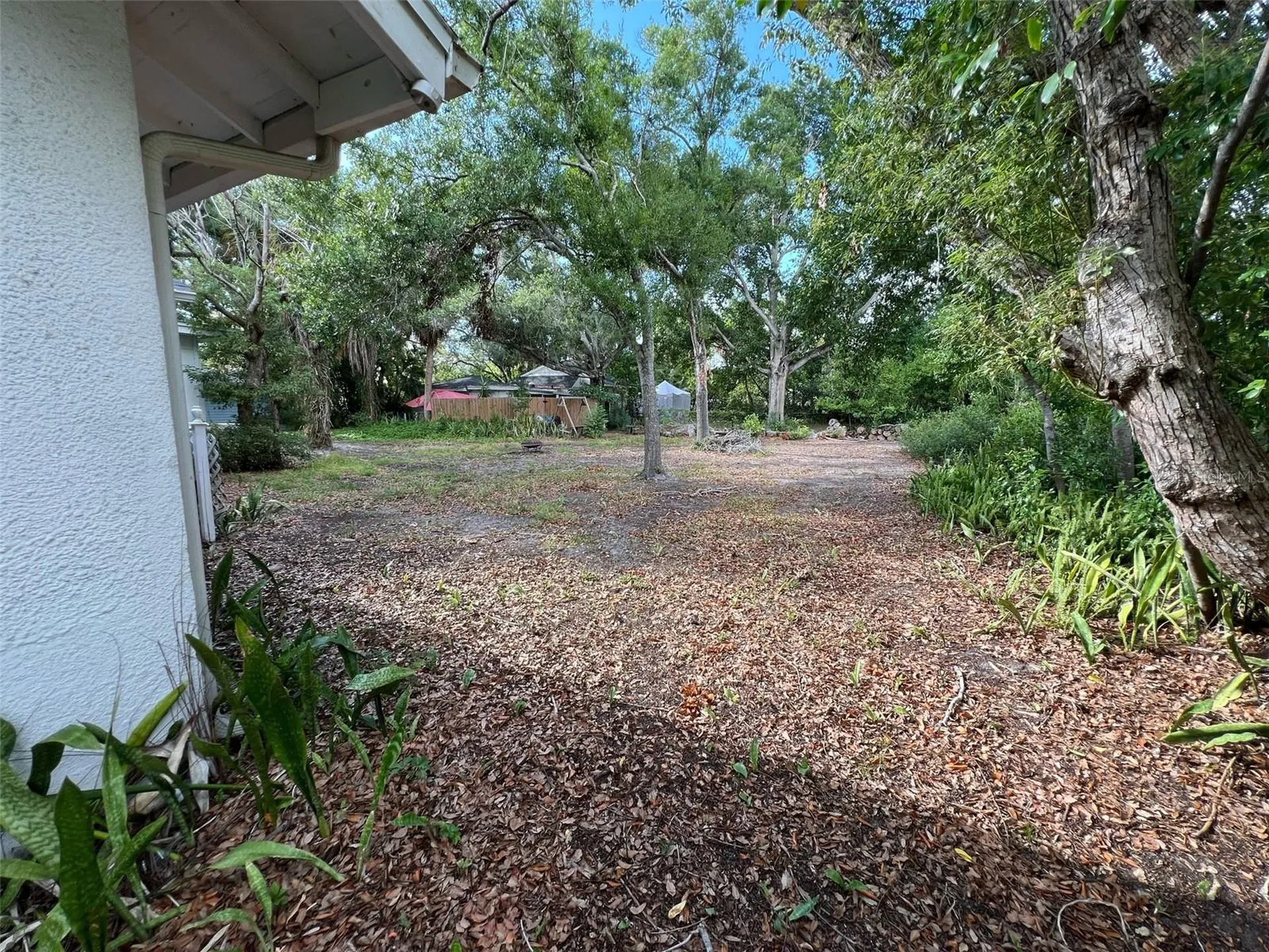 228 President Street Dunedin FL 34698