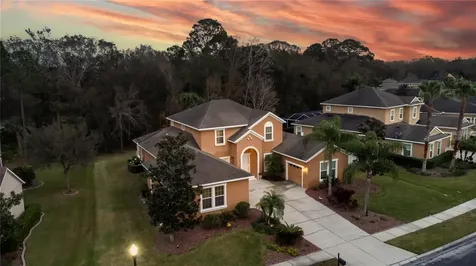 3350 Watermark Drive Wesley Chapel FL 33544