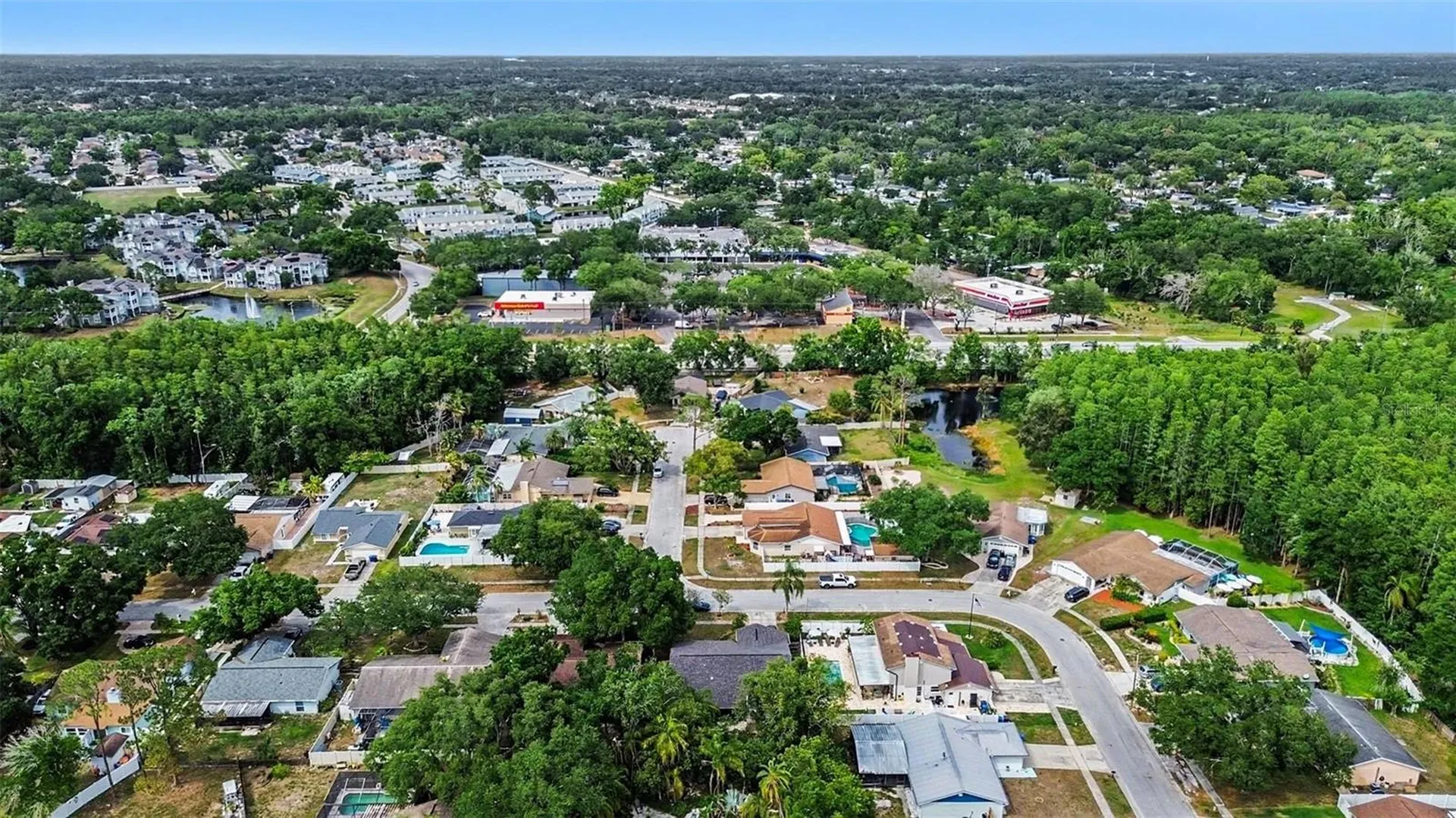 12601 Wood Ibis Way Tampa FL 33624