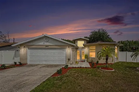 12601 Wood Ibis Way Tampa FL 33624