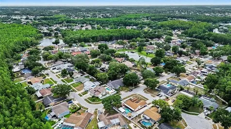 12601 Wood Ibis Way Tampa FL 33624