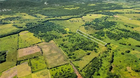 2 Km 162 Benavente Road Hormigueros PR 00660