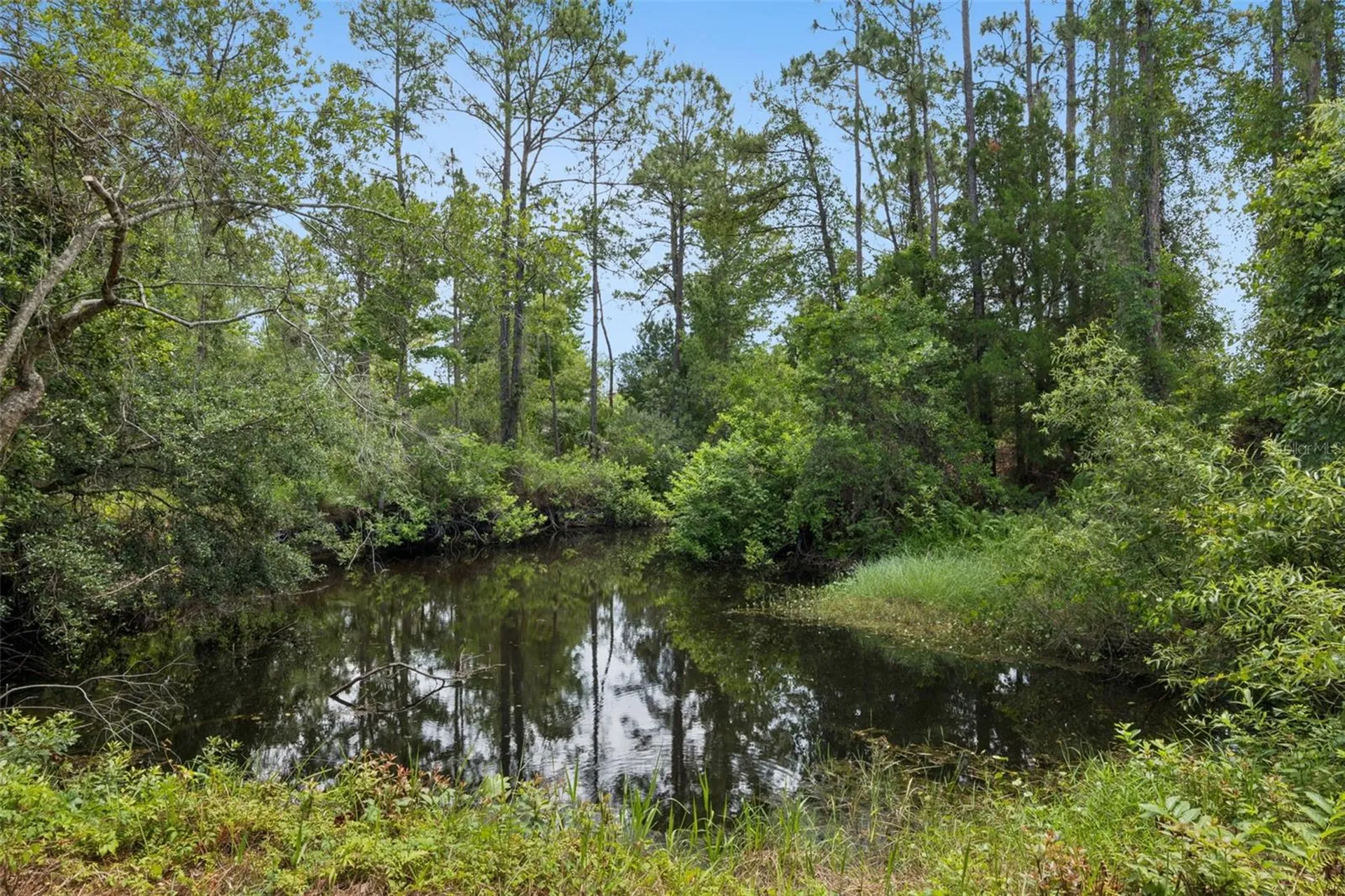 4001 Heirloom Rose Place Oviedo FL 32766