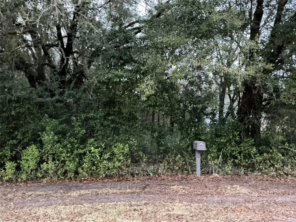 0 SE 143rd Place Summerfield FL 34491