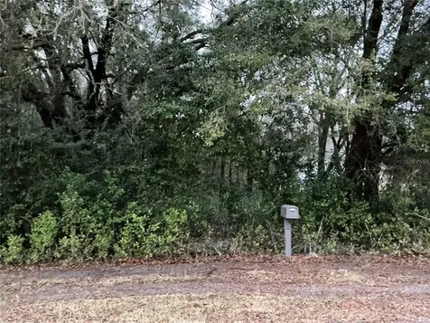 0 SE 143rd Place Summerfield FL 34491