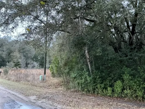 0 SE 143rd Place Summerfield FL 34491