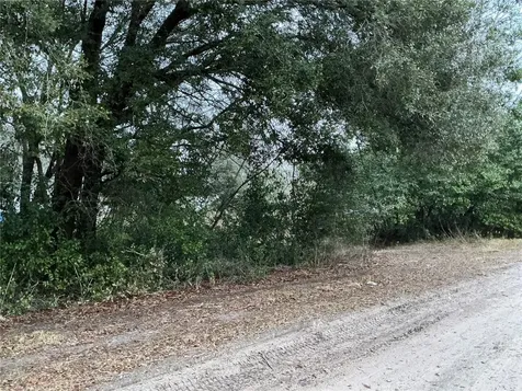 0 SE 143rd Place Summerfield FL 34491