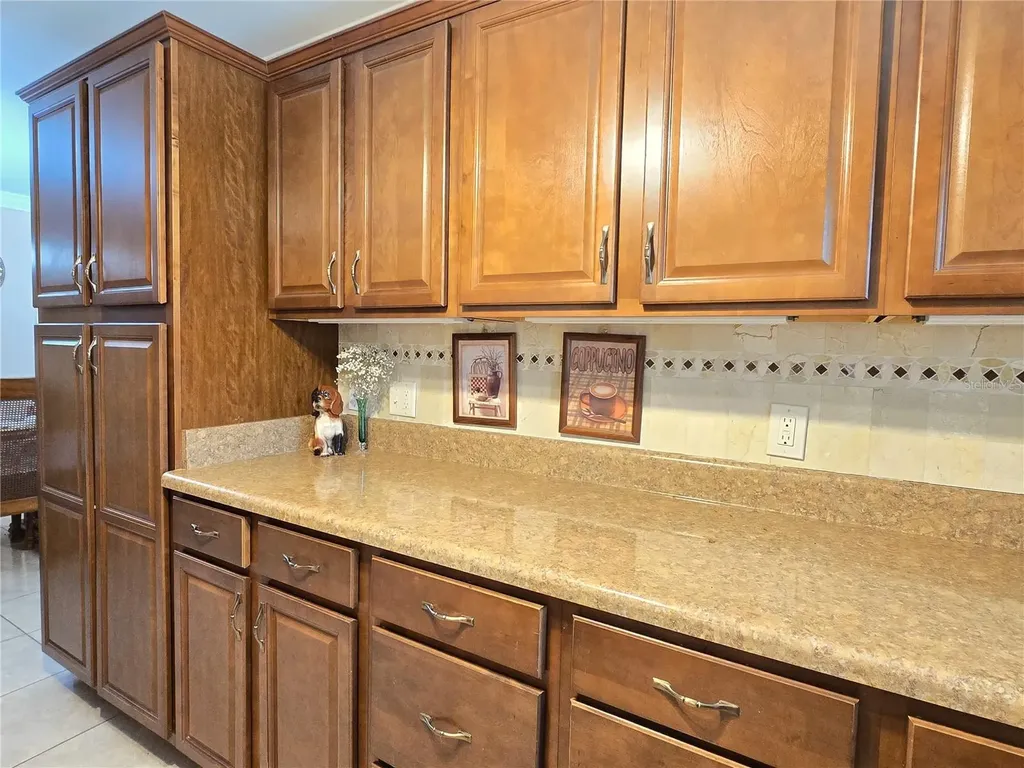 514 Brandon Avenue Clearwater FL 33765