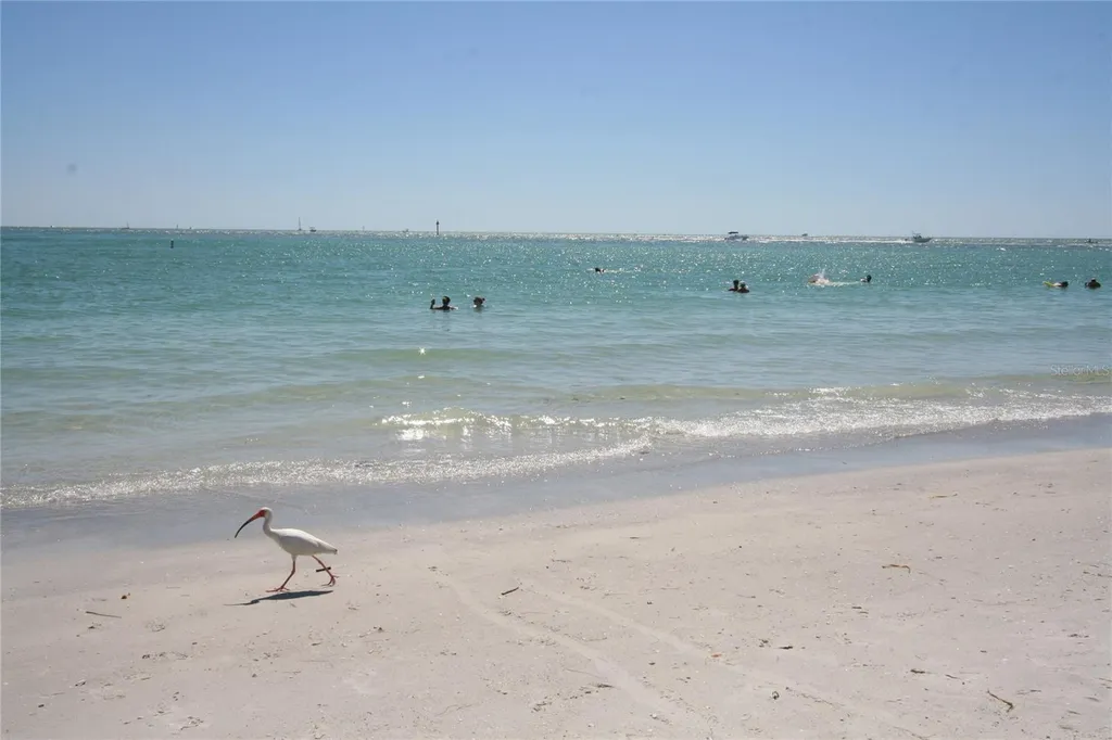 514 Brandon Avenue Clearwater FL 33765