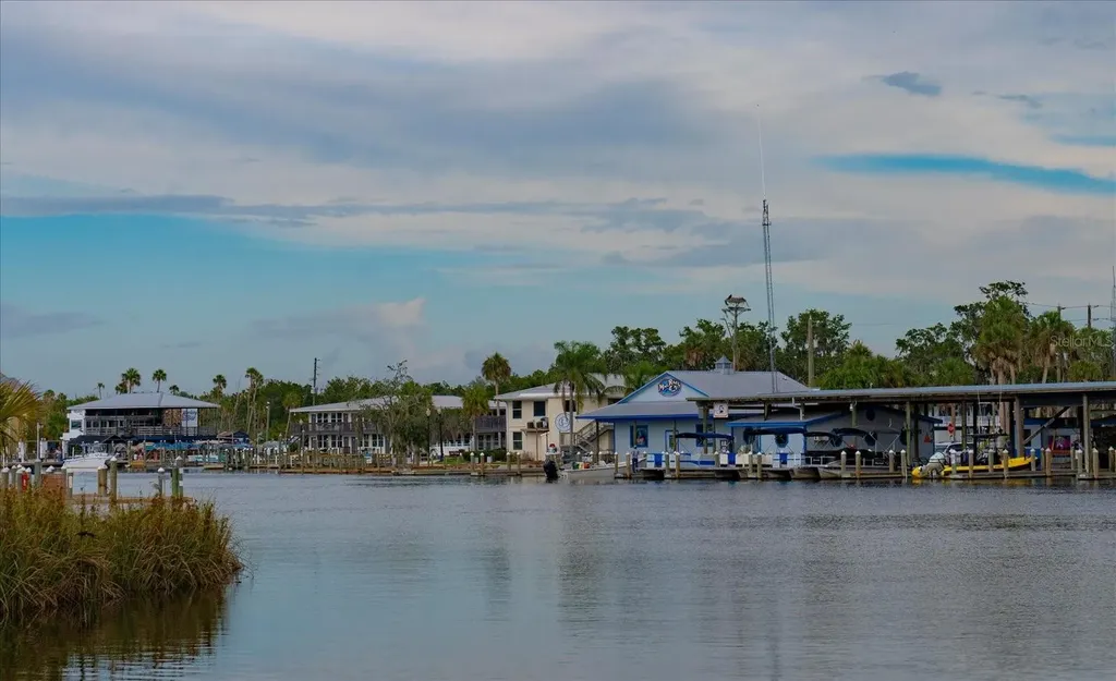 11579 W Rosa Court Homosassa FL 34448