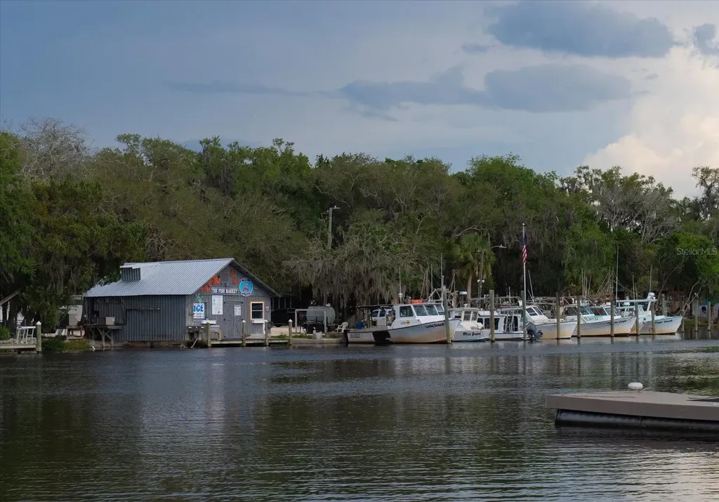 11579 W Rosa Court Homosassa FL 34448
