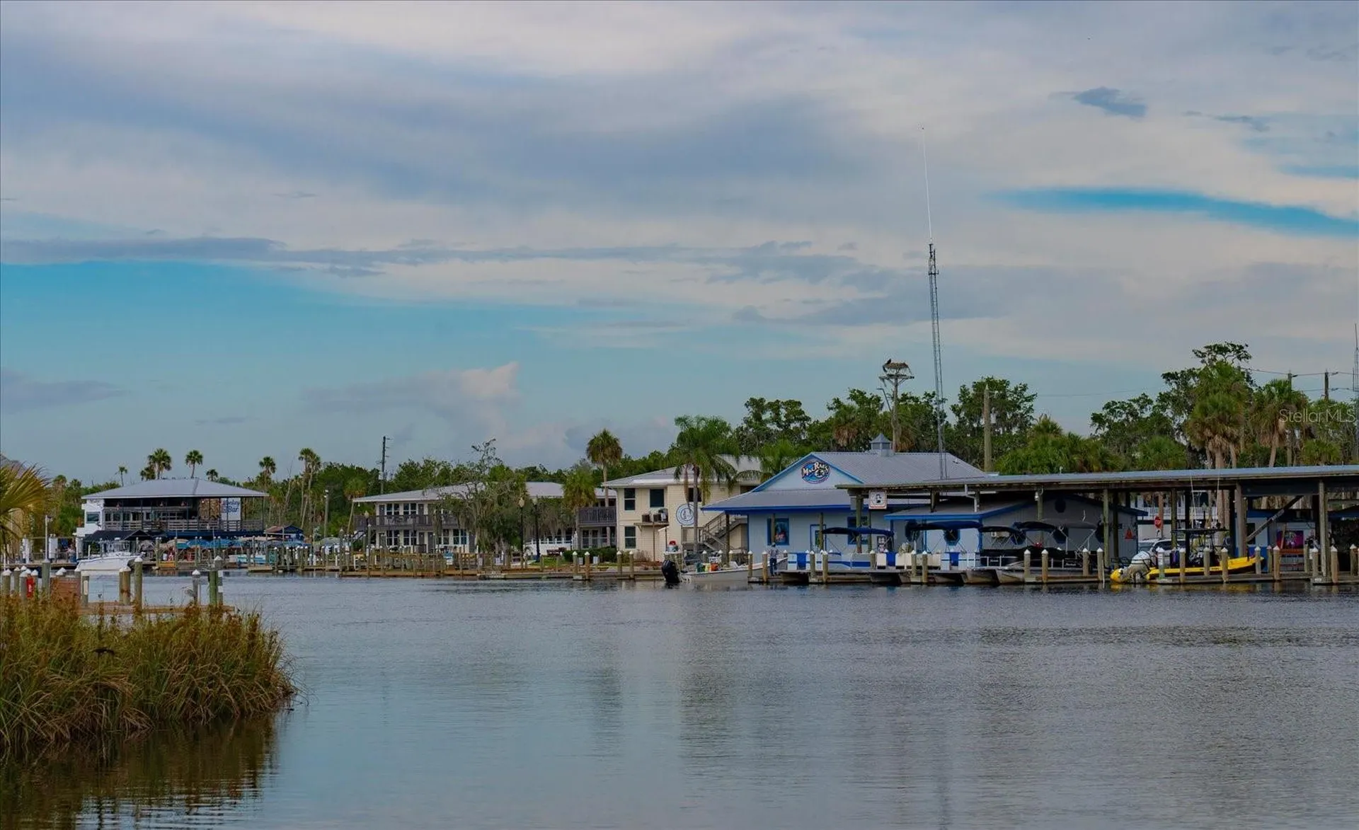 11579 W Rosa Court Homosassa FL 34448