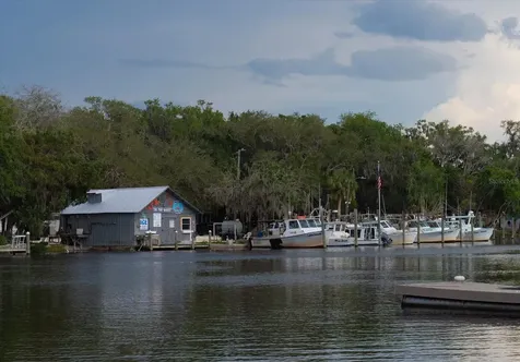 11579 W Rosa Court Homosassa FL 34448