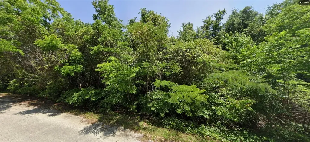 19 SE 146 Lane Summerfield FL 34491