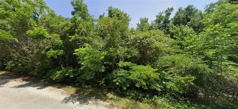 19 SE 146 Lane Summerfield FL 34491