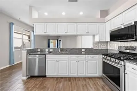 6207 Kiteridge Drive Lithia FL 33547