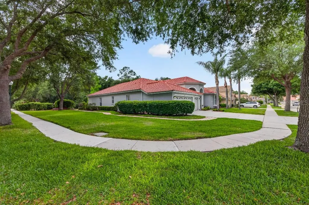 17912 Arbor Haven Drive Tampa FL 33647