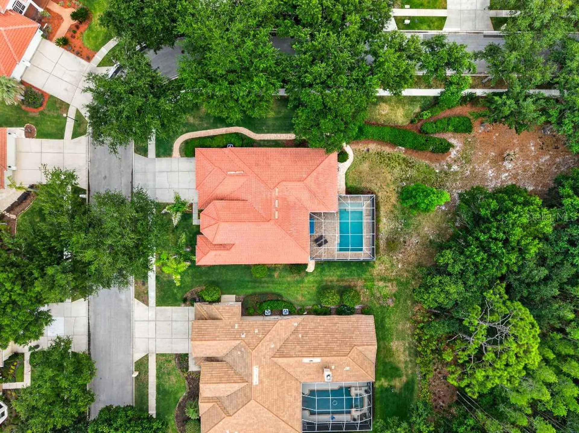 17912 Arbor Haven Drive Tampa FL 33647
