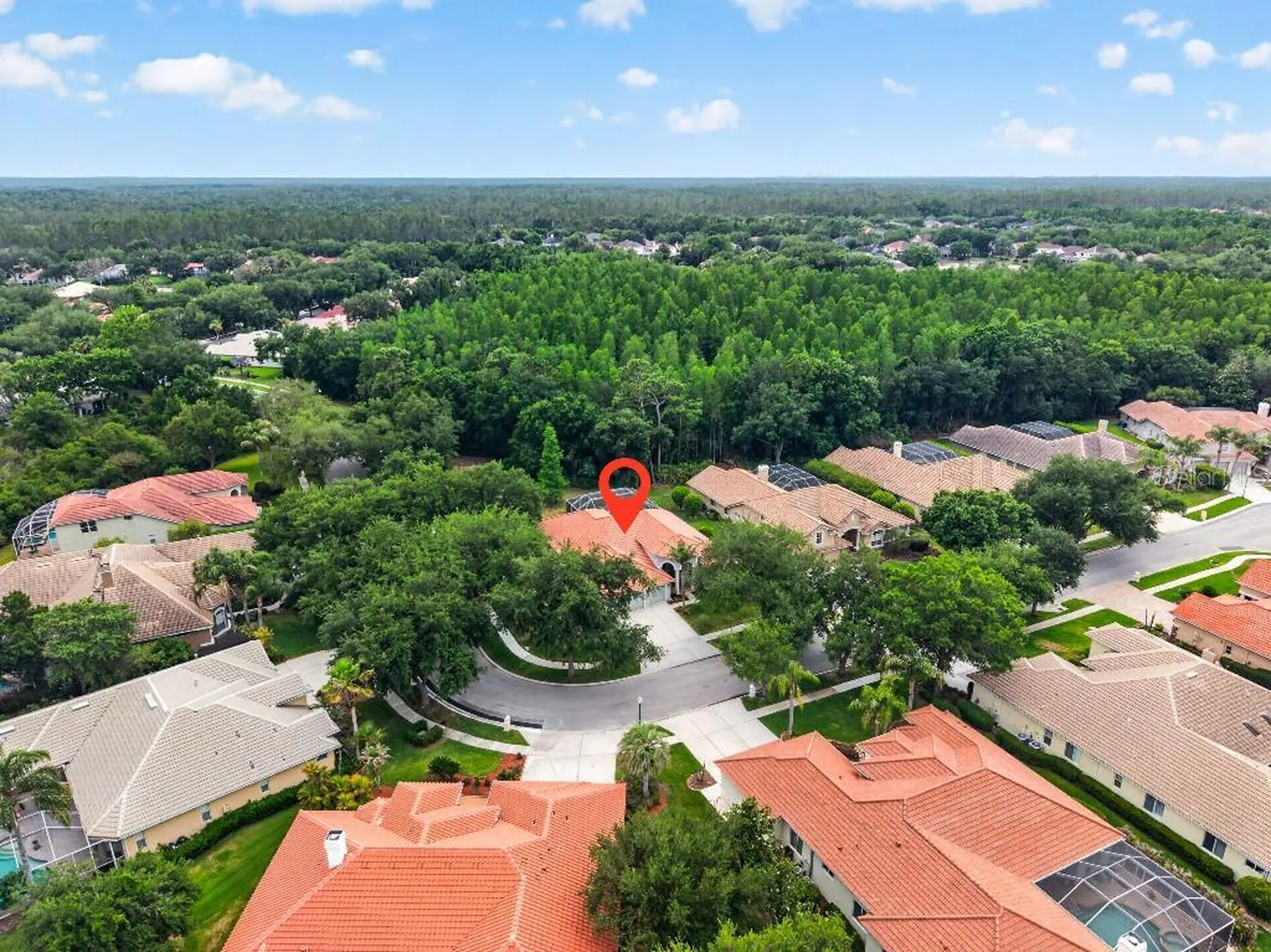 17912 Arbor Haven Drive Tampa FL 33647